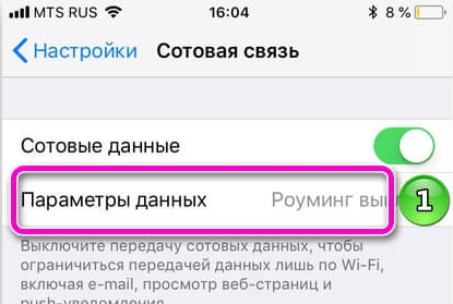 Как на iPhone в свободном интернете за 5 секунд