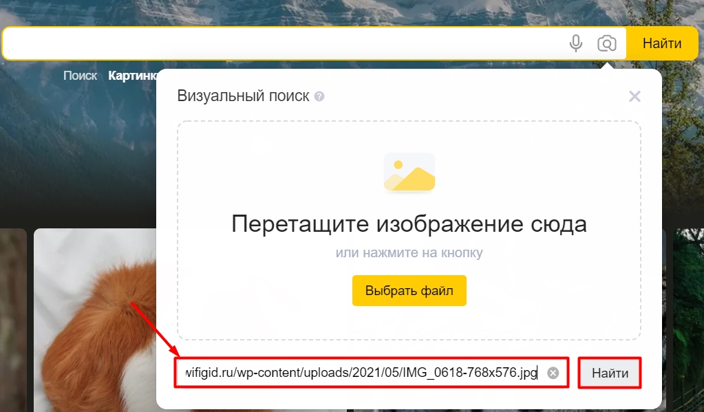 Как искать по фото в Яндексе или Гугле с телефона и компьютера