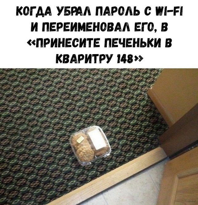 Как назвать Wi-Fi: обновленная подборка крутых имен