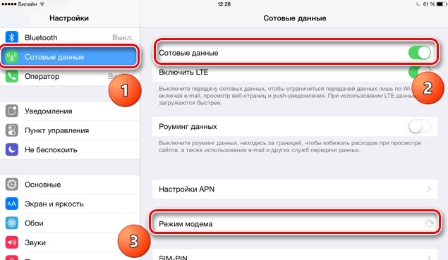 Как включить режим модема на iPad: раздача интернета