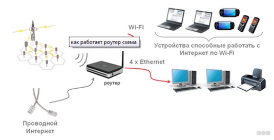 Маршрутизатор и маршрутизатор: в чем разница, есть ли у них отклонения?