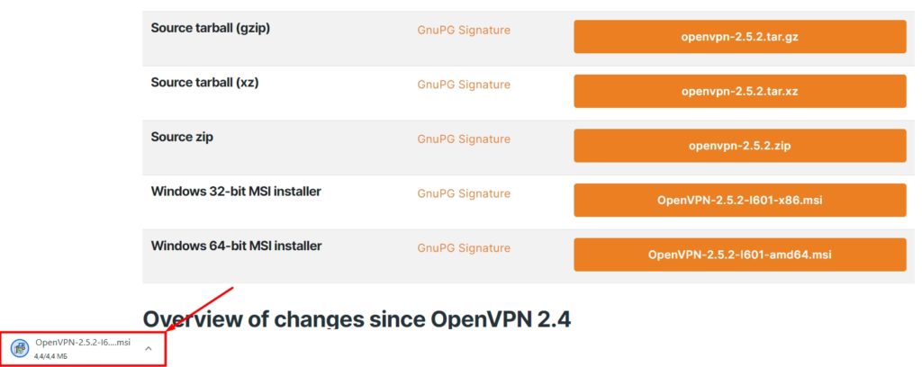 OpenVPN Keenetic: пошаговая инструкция по настройке