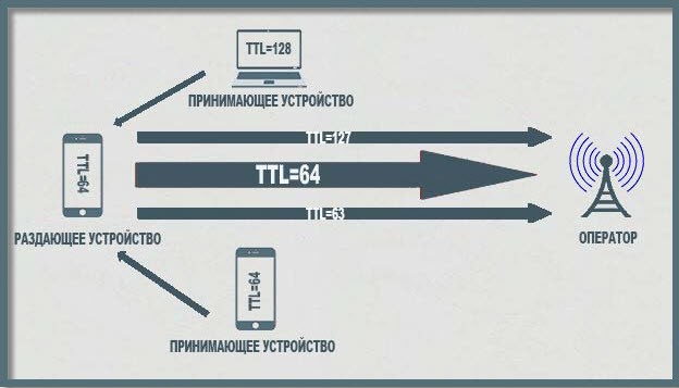 TTL - что это за пункт, чем отличается телефон от роутера?