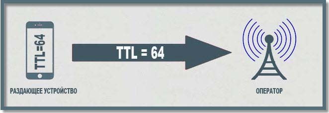 TTL - что это за пункт, чем отличается телефон от роутера?