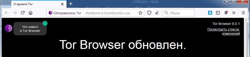 VPN: что это, для чего на ПК и как пользоваться бесплатно VPN: что это, для чего на ПК и как пользоваться бесплатно