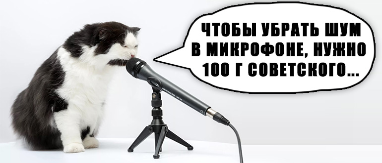 Как убрать шум в микрофоне: ответ Бородача