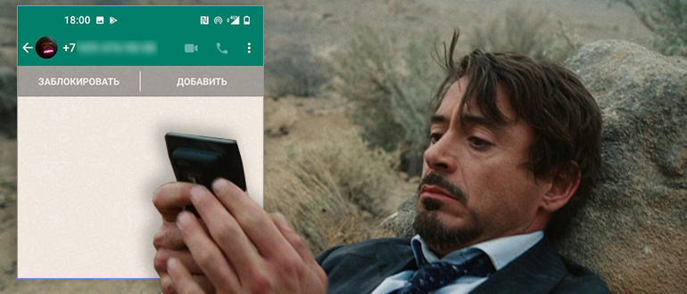 Написать в WhatsApp, не добавляя в контакты: 3 способа