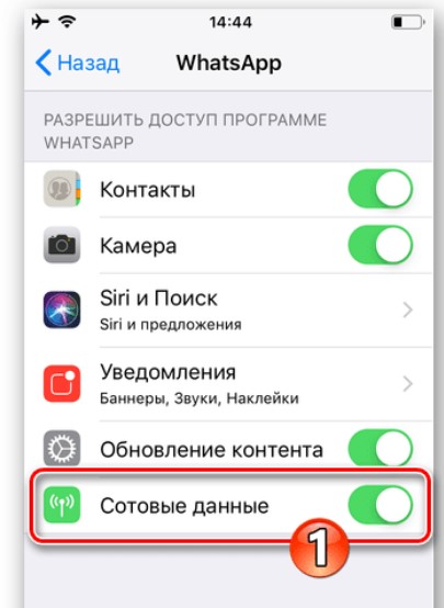 Как отключить WhatsApp на время на Android и iPhone