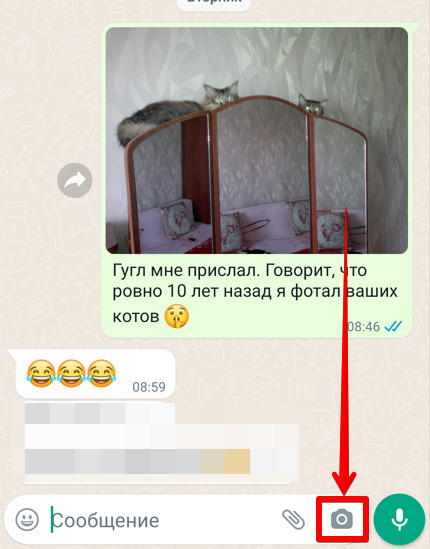 Как отправить фото или картинку по WhatsApp: все варианты