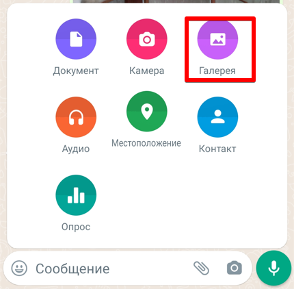 Как отправить фото или картинку по WhatsApp: все варианты