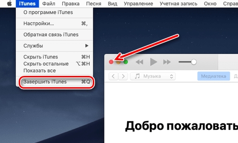 Как принудительно закрыть программу на MAC (Решено)