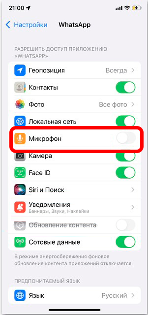 Как запретить звонки в WhatsApp: шокирующий ответ