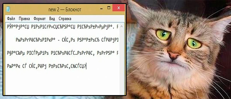 Как поменять кодировку в Блокноте: 2 способа