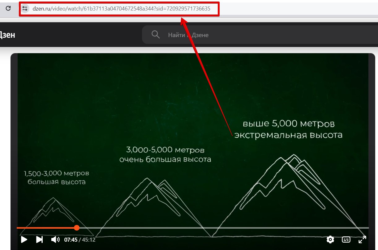 Как скачать видео с Дзена на компьютер или телефон