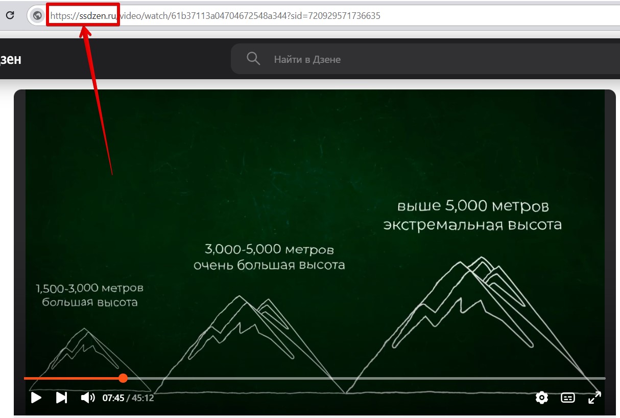 Как скачать видео с Дзена на компьютер или телефон