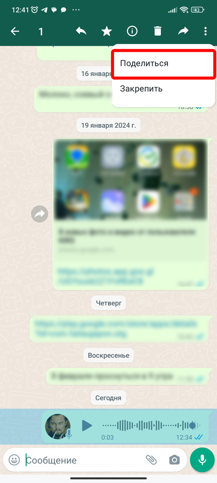 Как сохранить голосовое сообщение из WhatsApp: инструкция