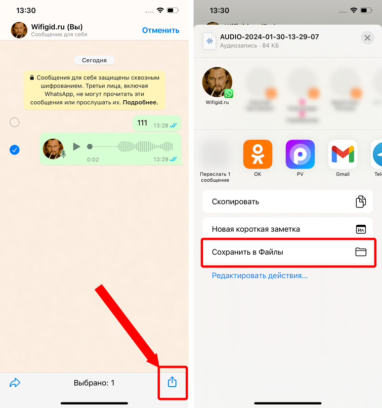Как сохранить голосовое сообщение из WhatsApp: инструкция
