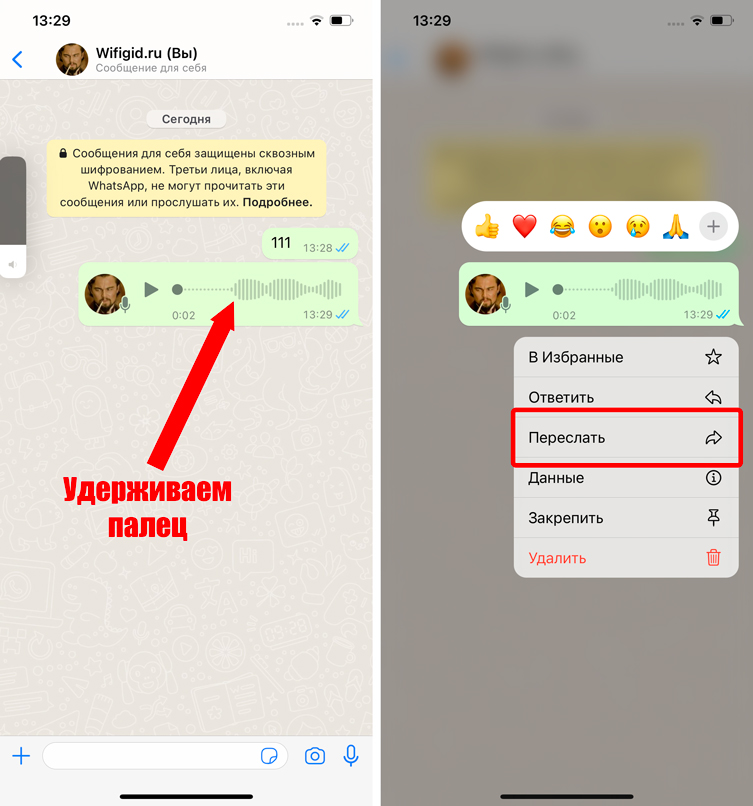 Как сохранить голосовое сообщение из WhatsApp: инструкция