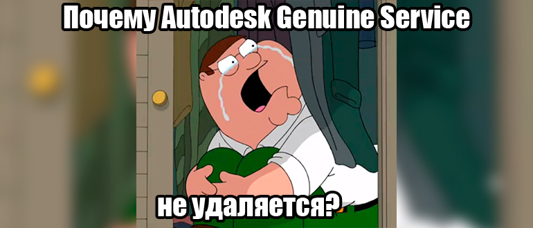 Autodesk Genuine Service: как удалить с компьютера?