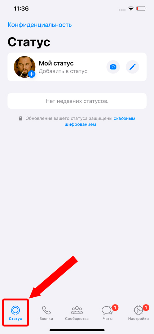 Как посмотреть статус в WhatsApp: инструкция