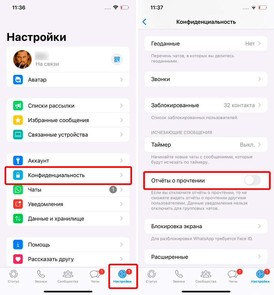 Как посмотреть статус в WhatsApp: инструкция