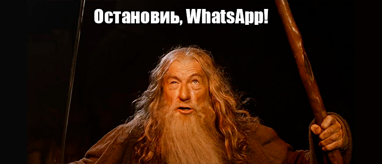 Как убрать резервное копирование в WhatsApp: решено