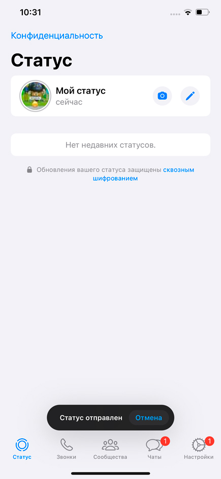 Как установить статус в WhatsApp: инструкция