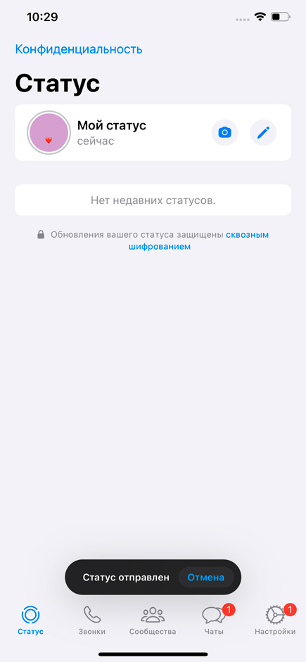 Как установить статус в WhatsApp: инструкция