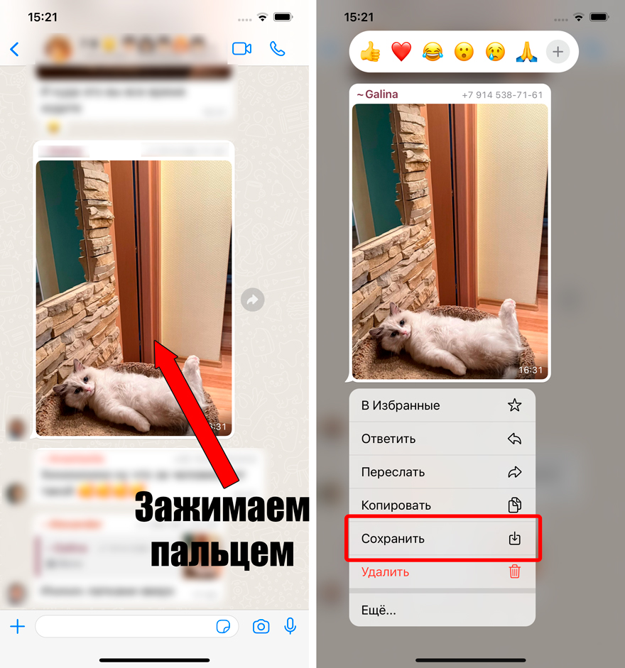 Как из WhatsApp сохранить фото в Галерею: ответ