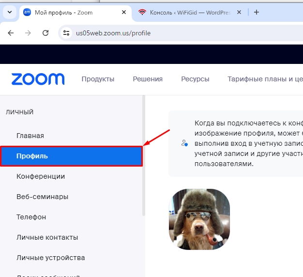 Как поставить аватарку в Zoom: инструкция