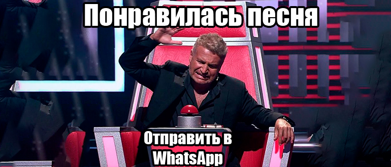 Как в WhatsApp отправить песню: 3 способа