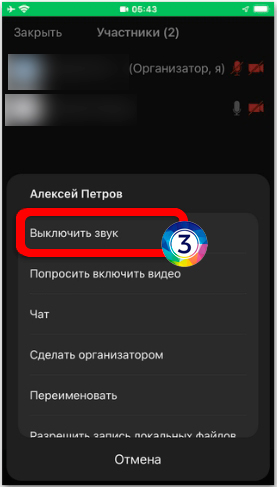 Как выключить звук в Zoom: инструкция