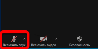 Как выключить звук в Zoom: инструкция