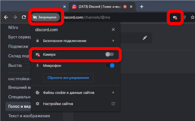 Не работает камера в Discord: решено