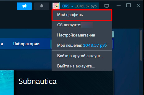 Как поменять аватарку в Стиме: 3 способа