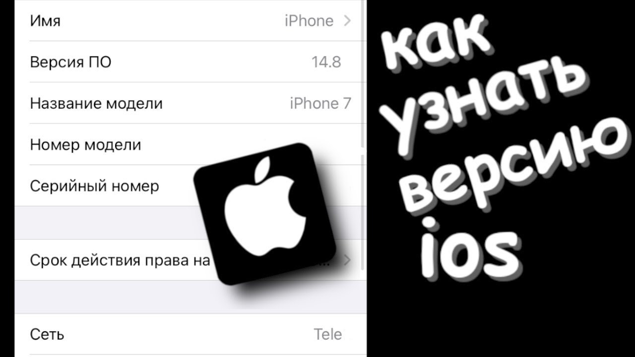 Как узнать iOS на iPhone: 3 способа